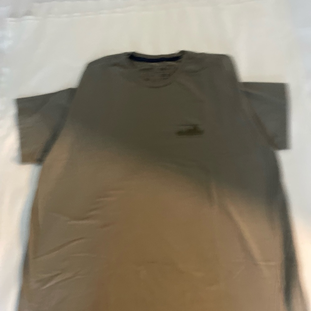 Patagonia Men's Short Sleeve Tan Tee